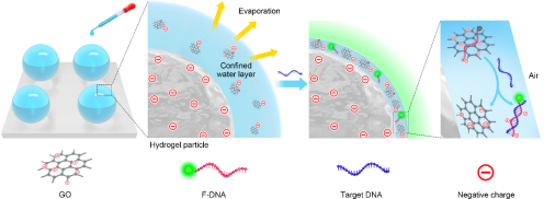 1650006744991602.png image.png